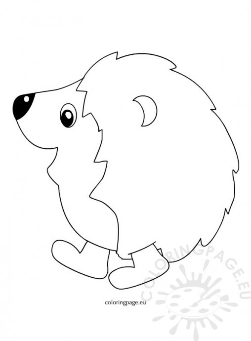 Baby Hedgehog Coloring Pages
 Animal Coloring Page
