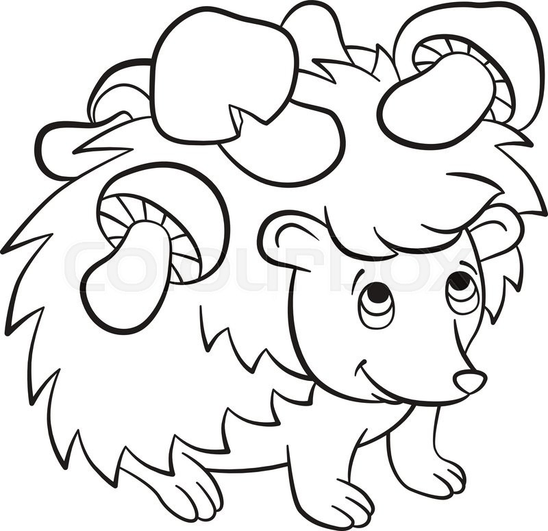 Baby Hedgehog Coloring Pages
 Coloring pages Little cute kind hedgehog has the