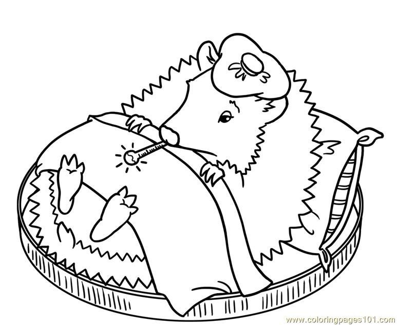 Baby Hedgehog Coloring Pages
 Coloring Pages Sleeping hedgehog Mammals Hedgehogs