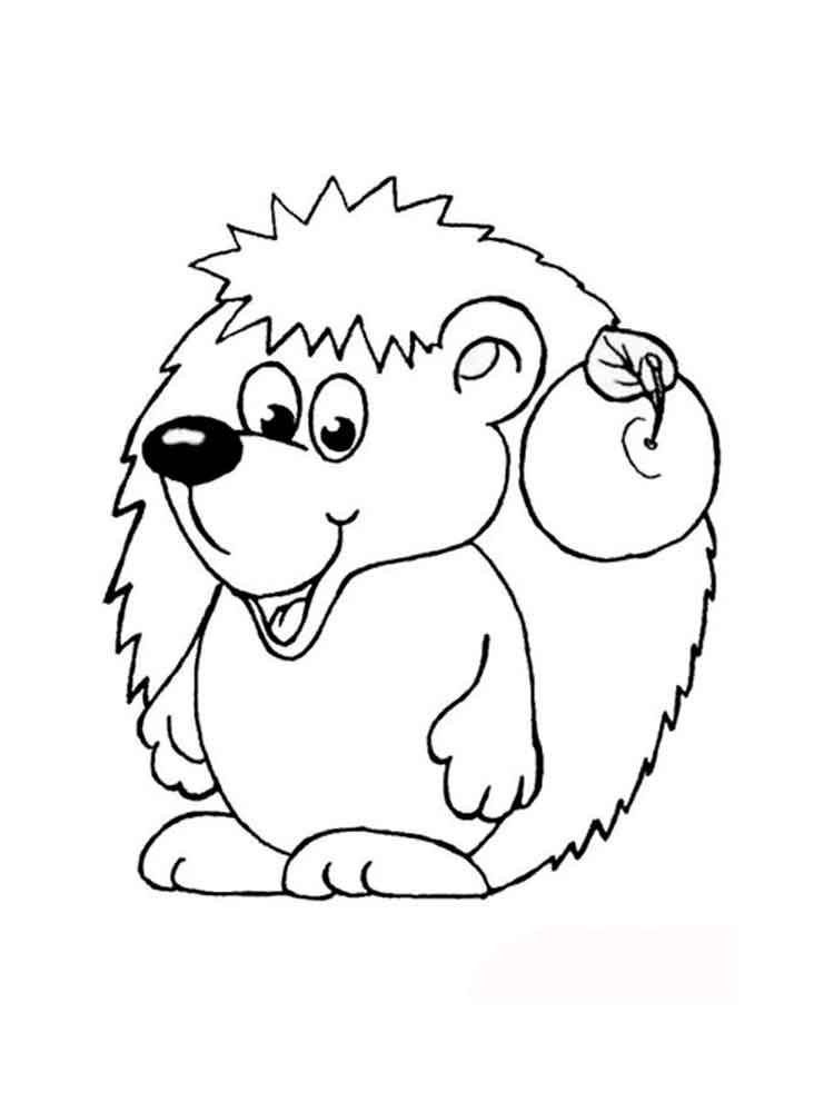 Baby Hedgehog Coloring Pages
 Hedge Hogs Colouring Pages Sketch Coloring Page