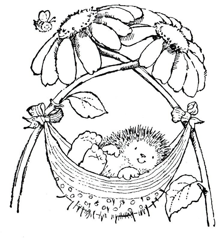 Baby Hedgehog Coloring Pages
 168 best images about Baby Cards on Pinterest