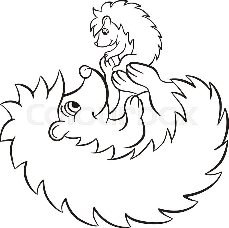 Baby Hedgehog Coloring Pages
 Coloring pages The hedgegoh holds