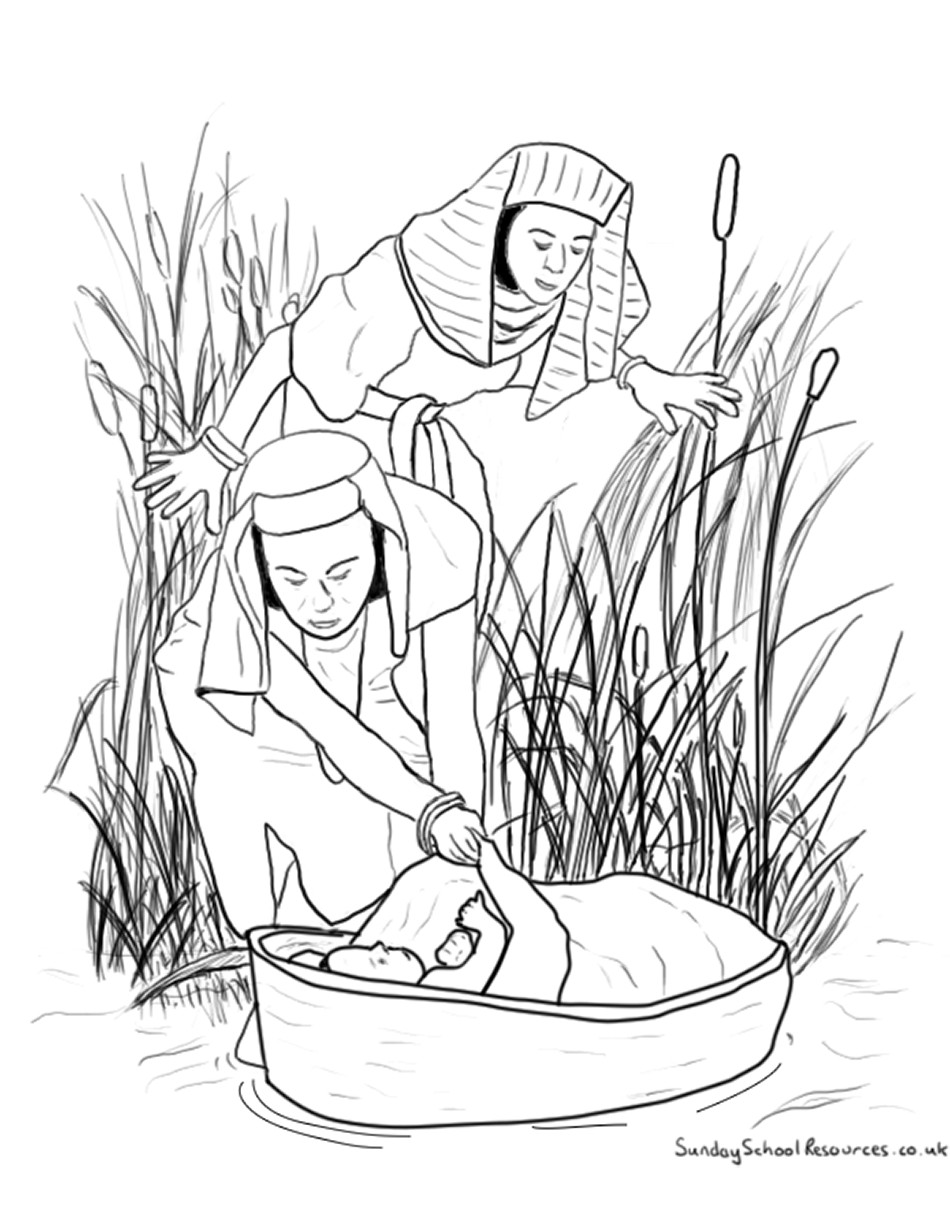 Baby Moses Coloring Sheets
 Baby Moses Coloring Page SundaySchoolist
