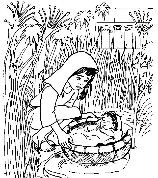 Baby Moses Coloring Sheets
 Christian Ed To Go This Sunday Baby Moses