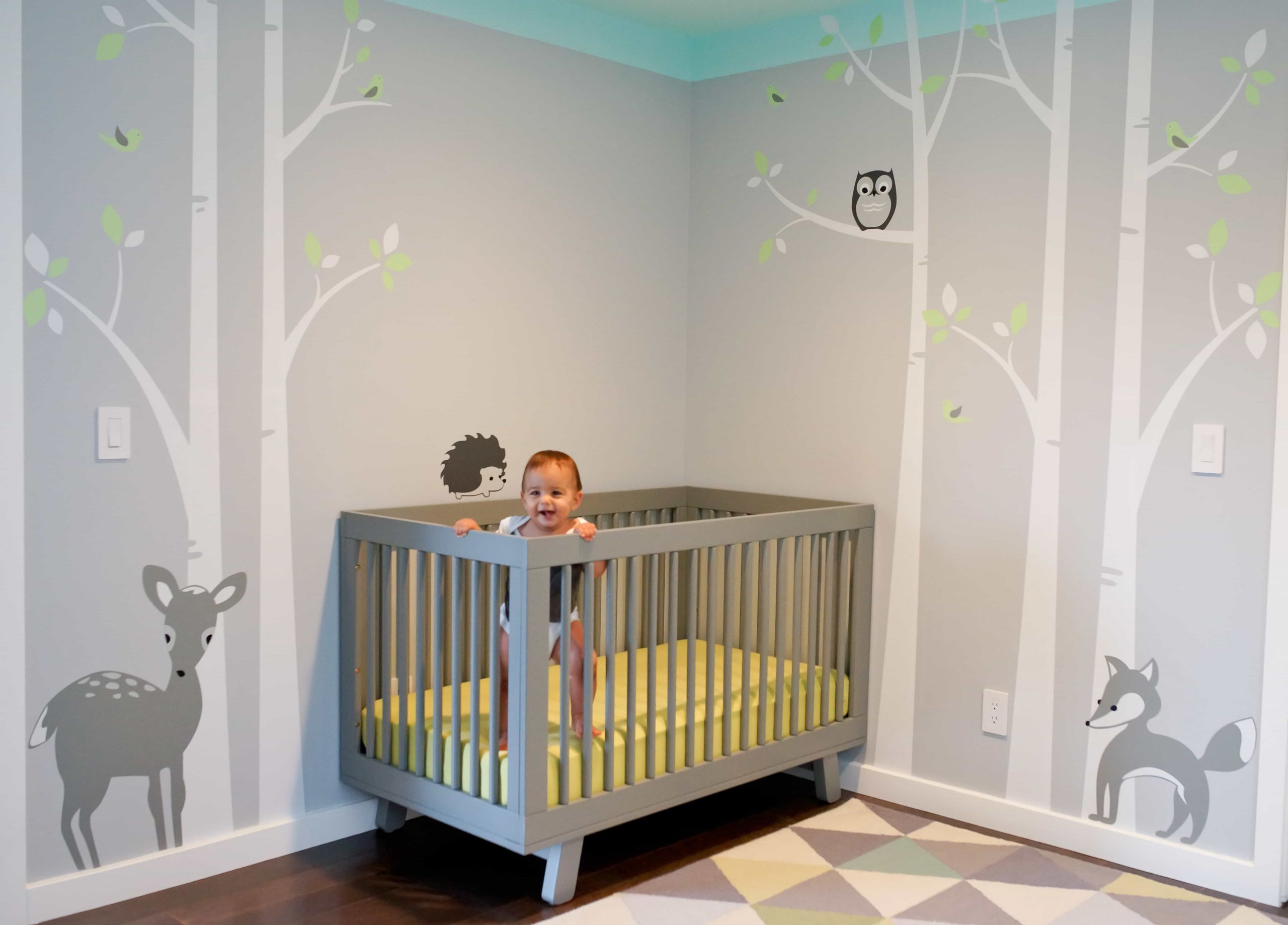 Baby Room Wall Decor Ideas
 Minimalist Nursery Bedroom Furniture Design Ideas 5606