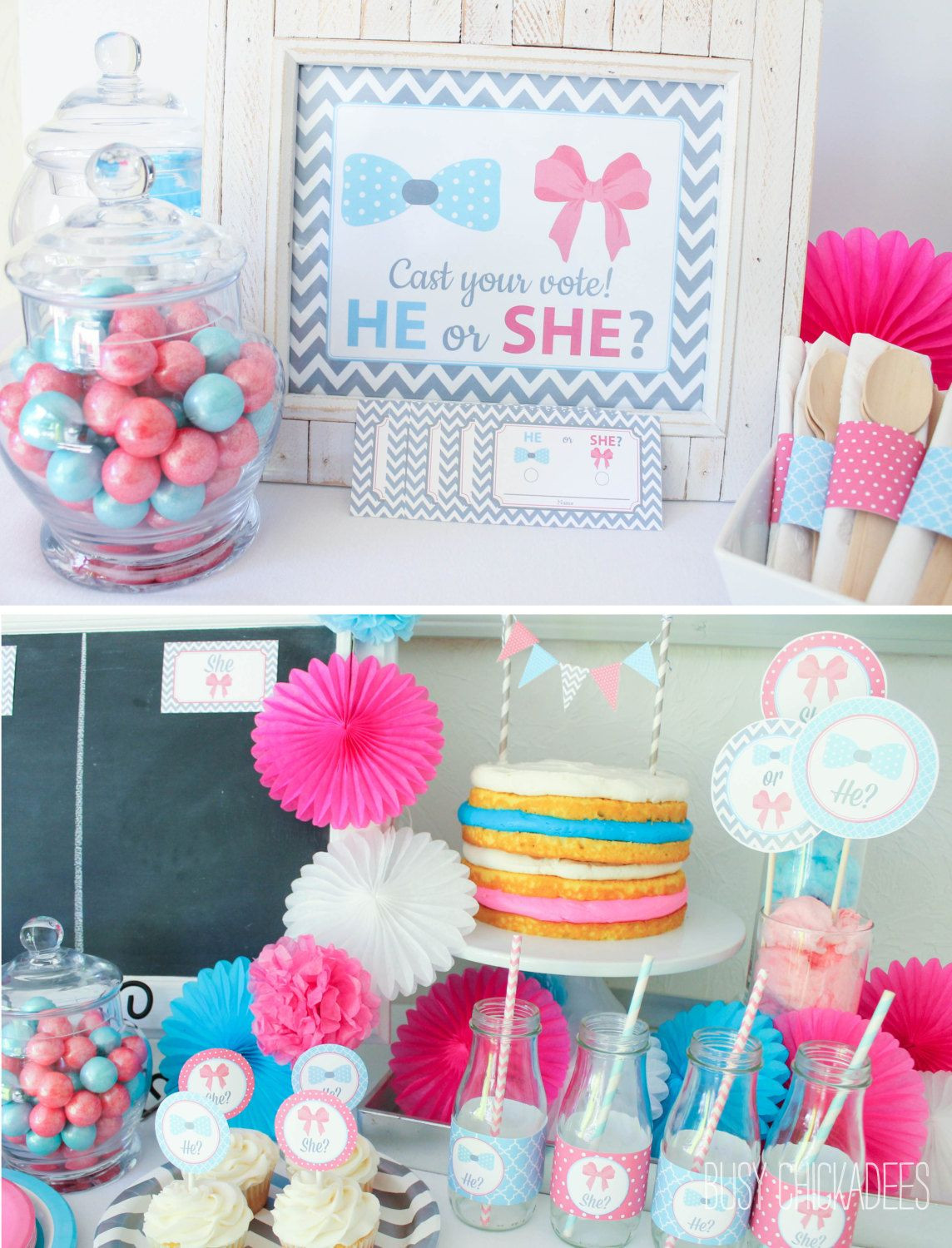 Baby Shower Gender Reveal Party Ideas
 10 Baby Gender Reveal Party Ideas