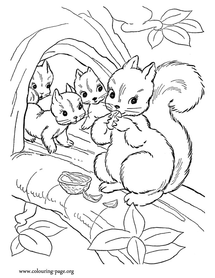 Baby Squirrel Coloring Pages
 Squirrels Mommy squirrel and her cubs coloring page