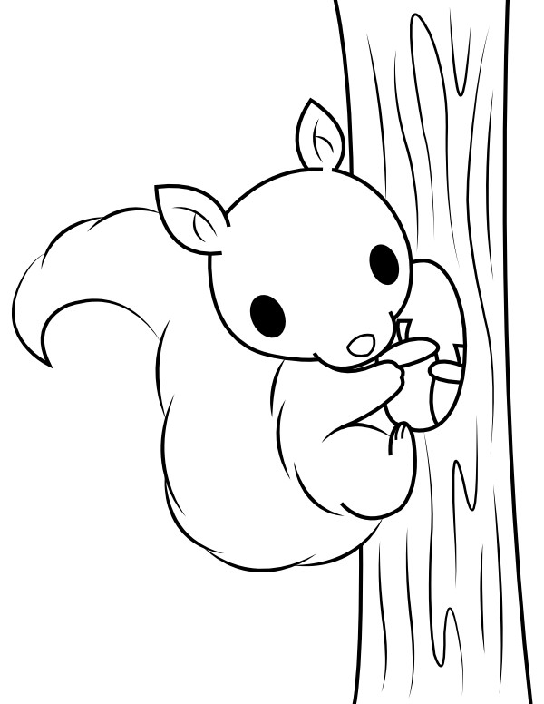Baby Squirrel Coloring Pages
 Printable Baby Squirrel Climbing A Tree Coloring Page