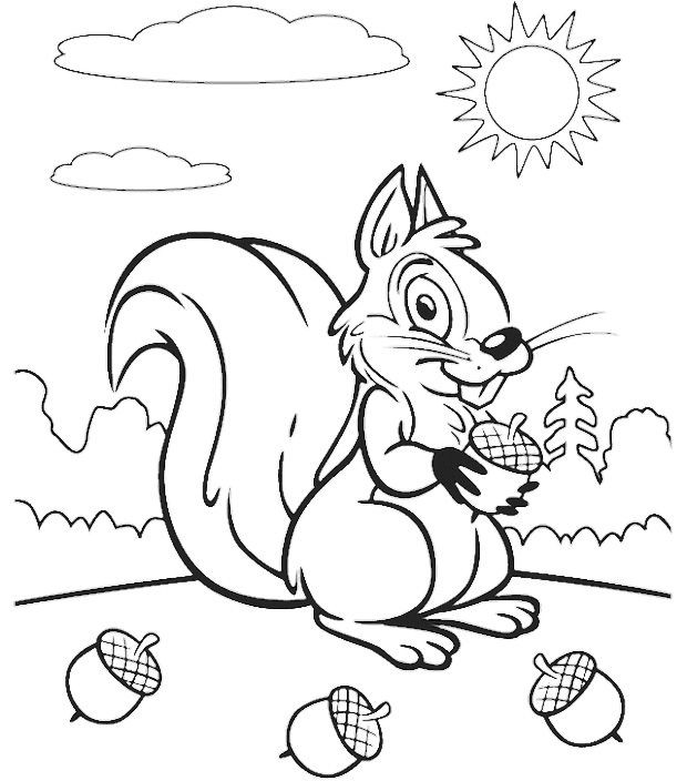Baby Squirrel Coloring Pages
 Baby Squirrel Coloring Pages Coloring Pages