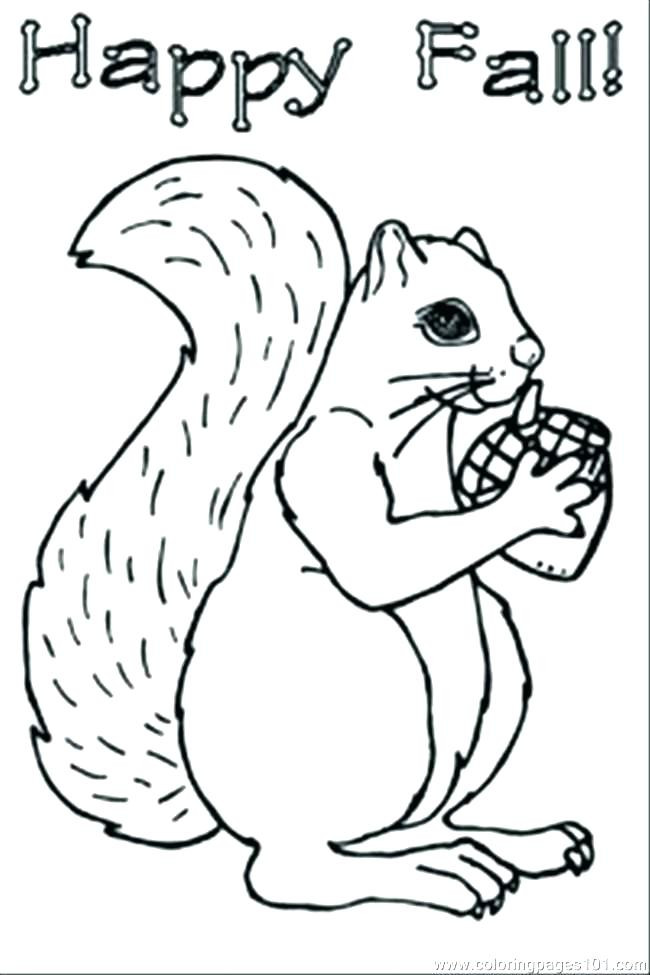 Baby Squirrel Coloring Pages
 Baby Squirrel Coloring Pages at GetColorings