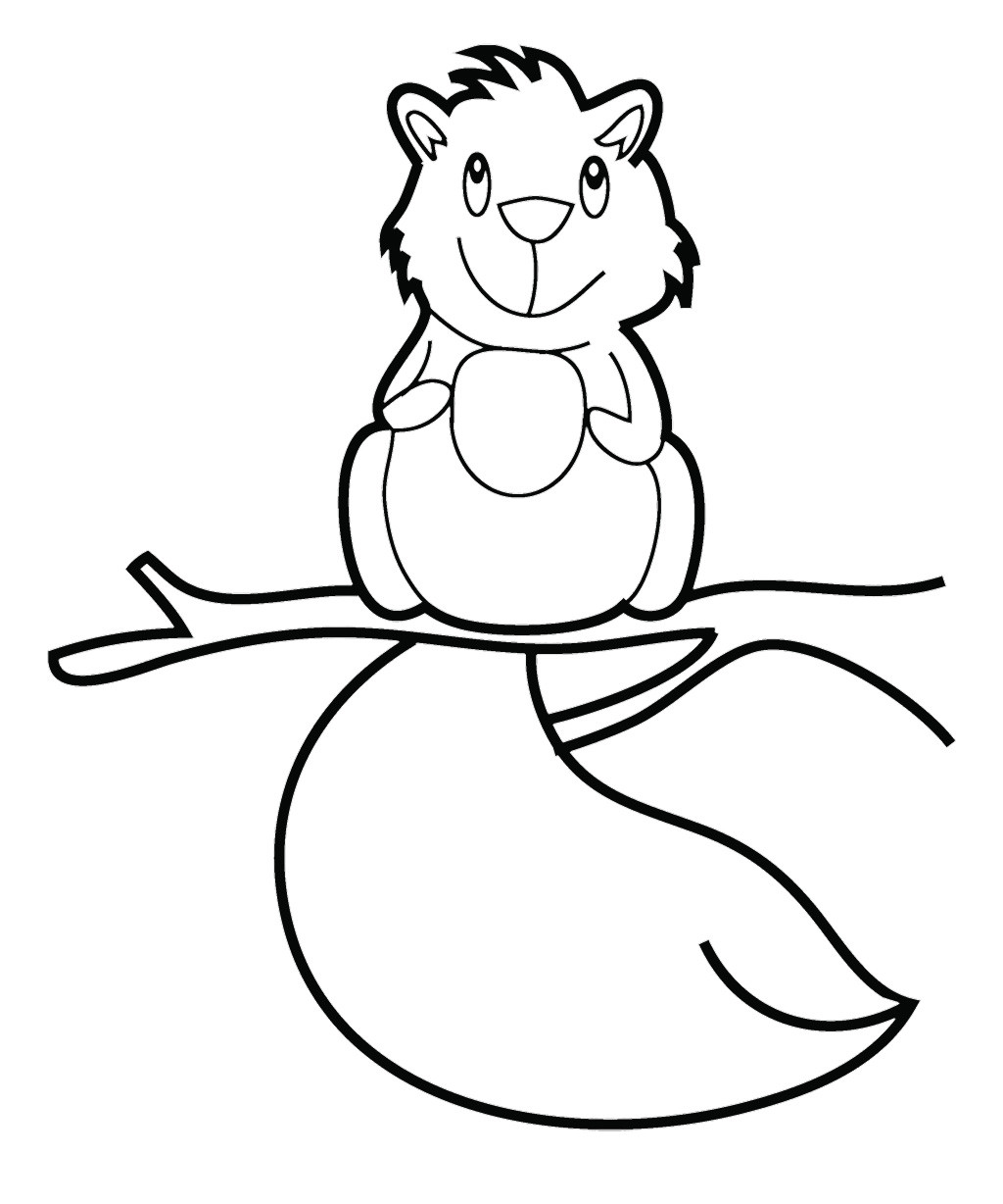 Baby Squirrel Coloring Pages
 Flying Squirrel Coloring Page Cliparts