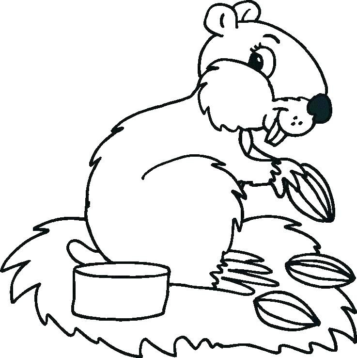 Baby Squirrel Coloring Pages
 Baby Animal Coloring Pages Best Coloring Pages For Kids
