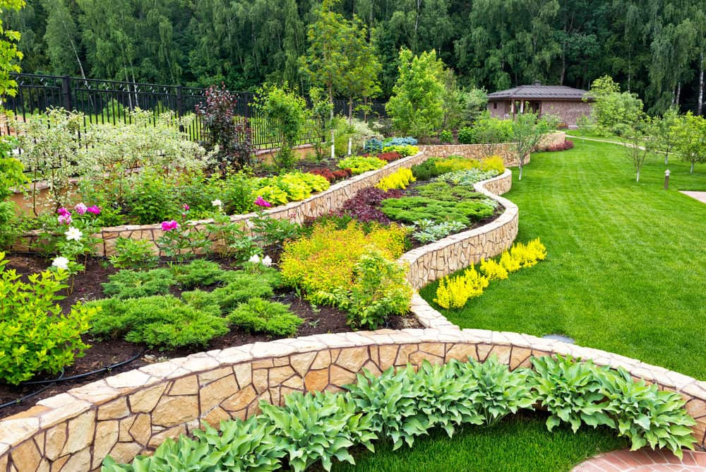 Backyard By Design
 How to Create a Landscape Design Blueprint for Your Yard