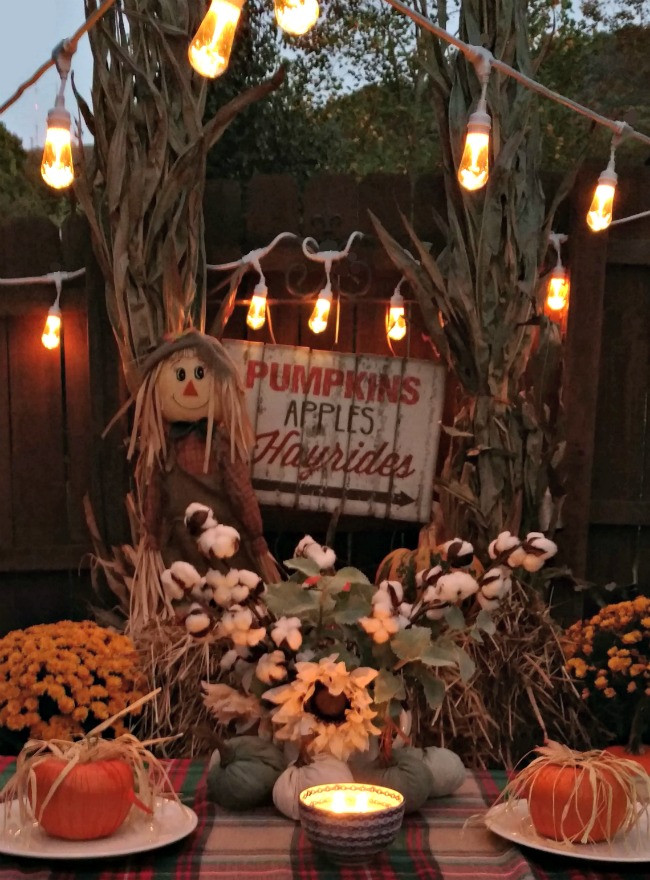 Backyard Fall Party Ideas
 4 Tips for an Outdoor Fall Party This Girl s Life Blog