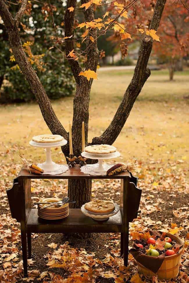 Backyard Fall Party Ideas
 30 Fabulous Outdoor Decorating Ideas to Host a Fall Party