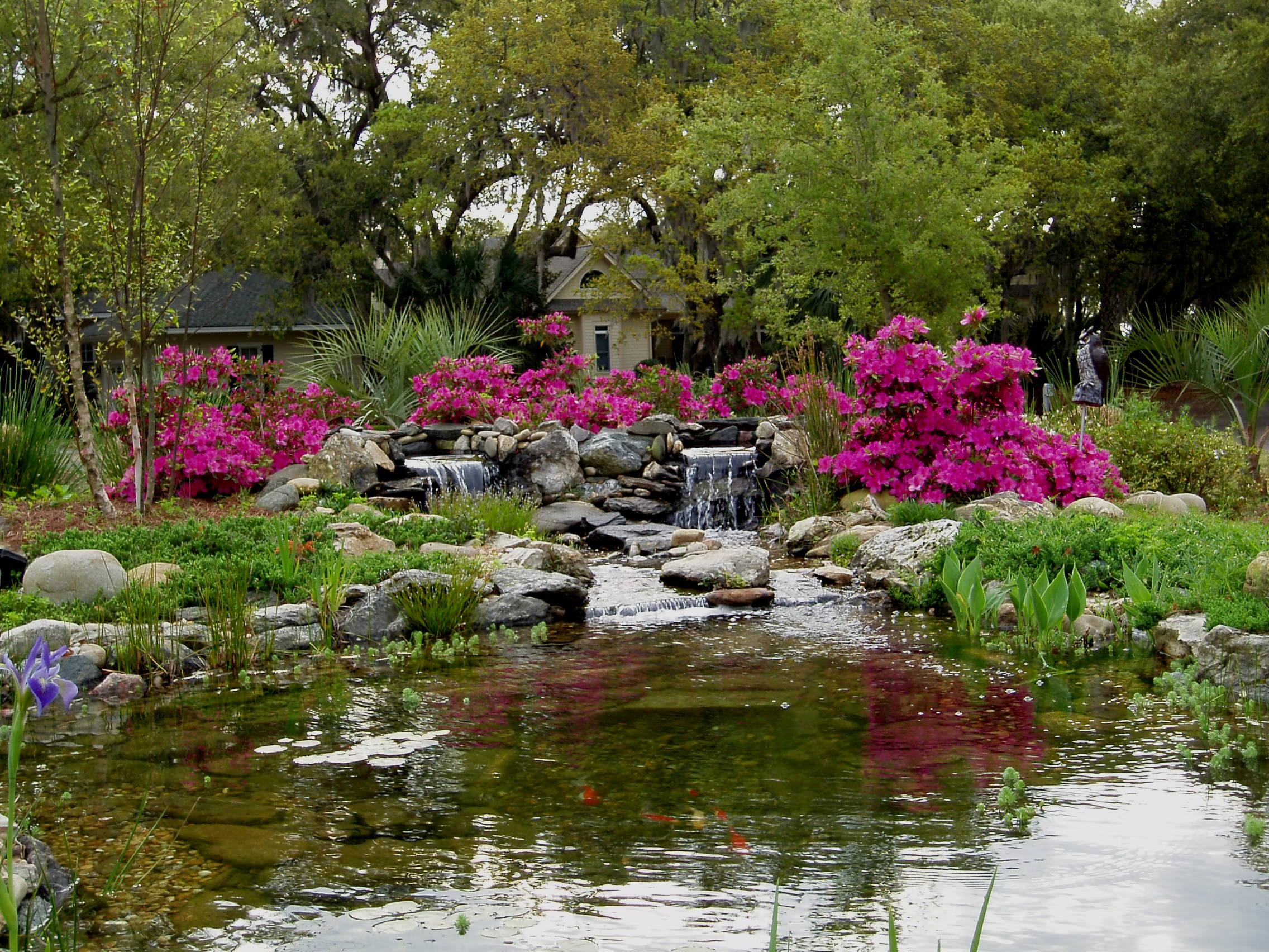 Backyard Fountain Ponds
 Pretty ponds Trevor Strever creates serene garden