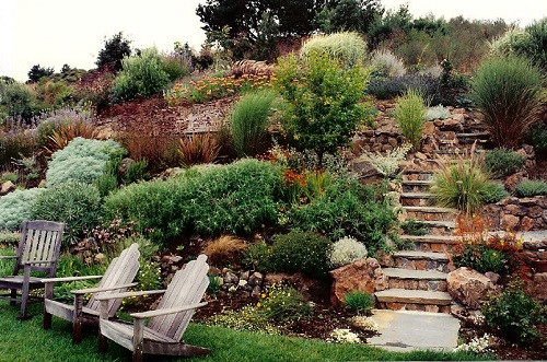 Backyard Hillside Landscaping
 21 Landscaping Ideas for Slopes Slight Moderate and Steep