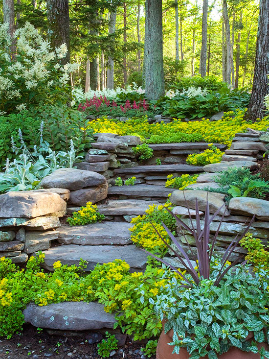 Backyard Hillside Landscaping
 Hillside Landscaping Ideas