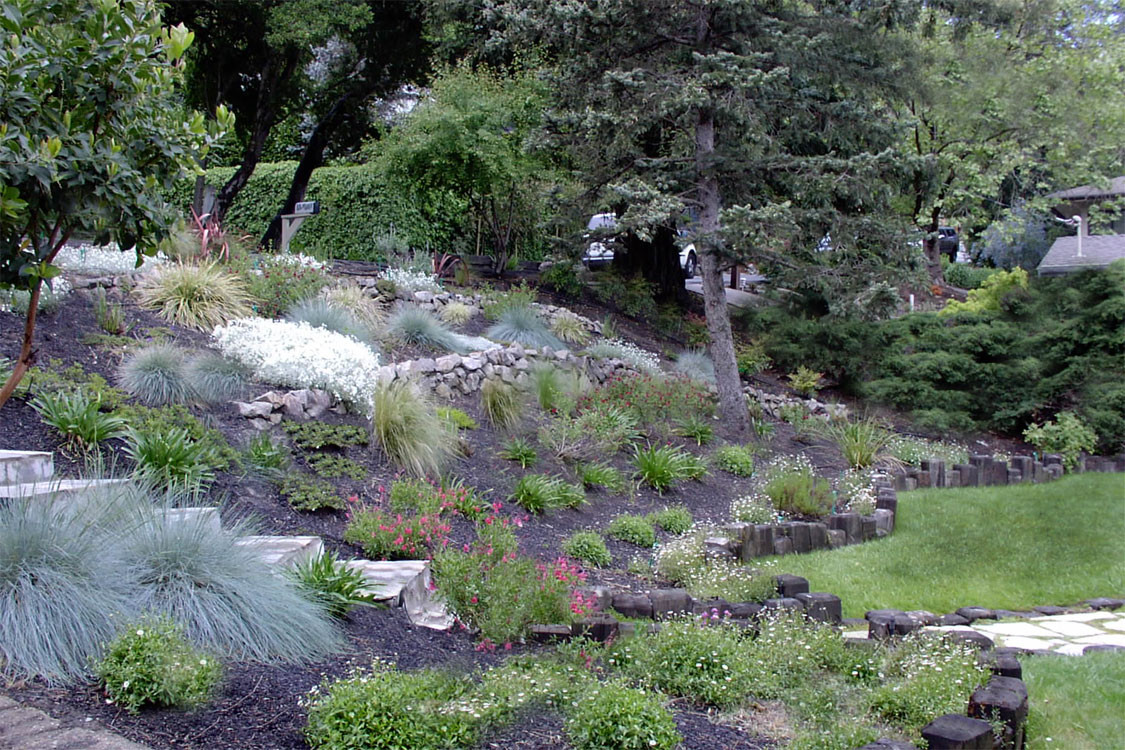 Backyard Hillside Landscaping
 Home garden designs Landscaping a hillside