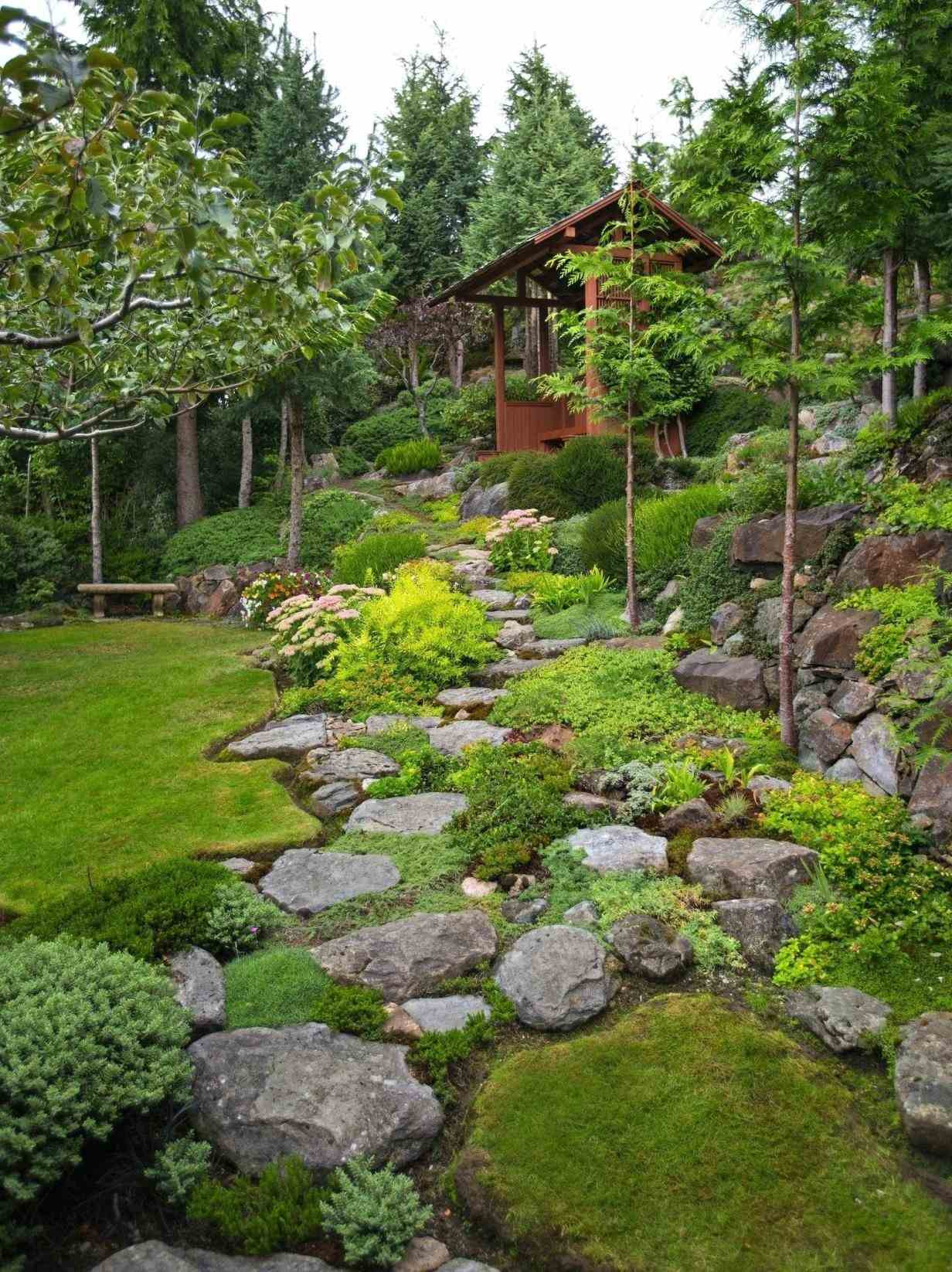 Backyard Hillside Landscaping
 Steep Hill Hillside Patio Backyard Before After