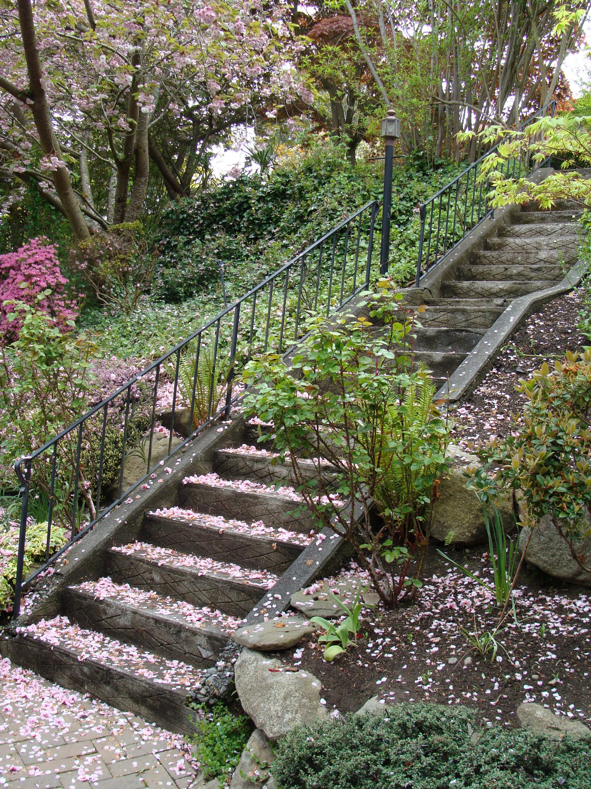 Backyard Hillside Landscaping
 hillside gardening