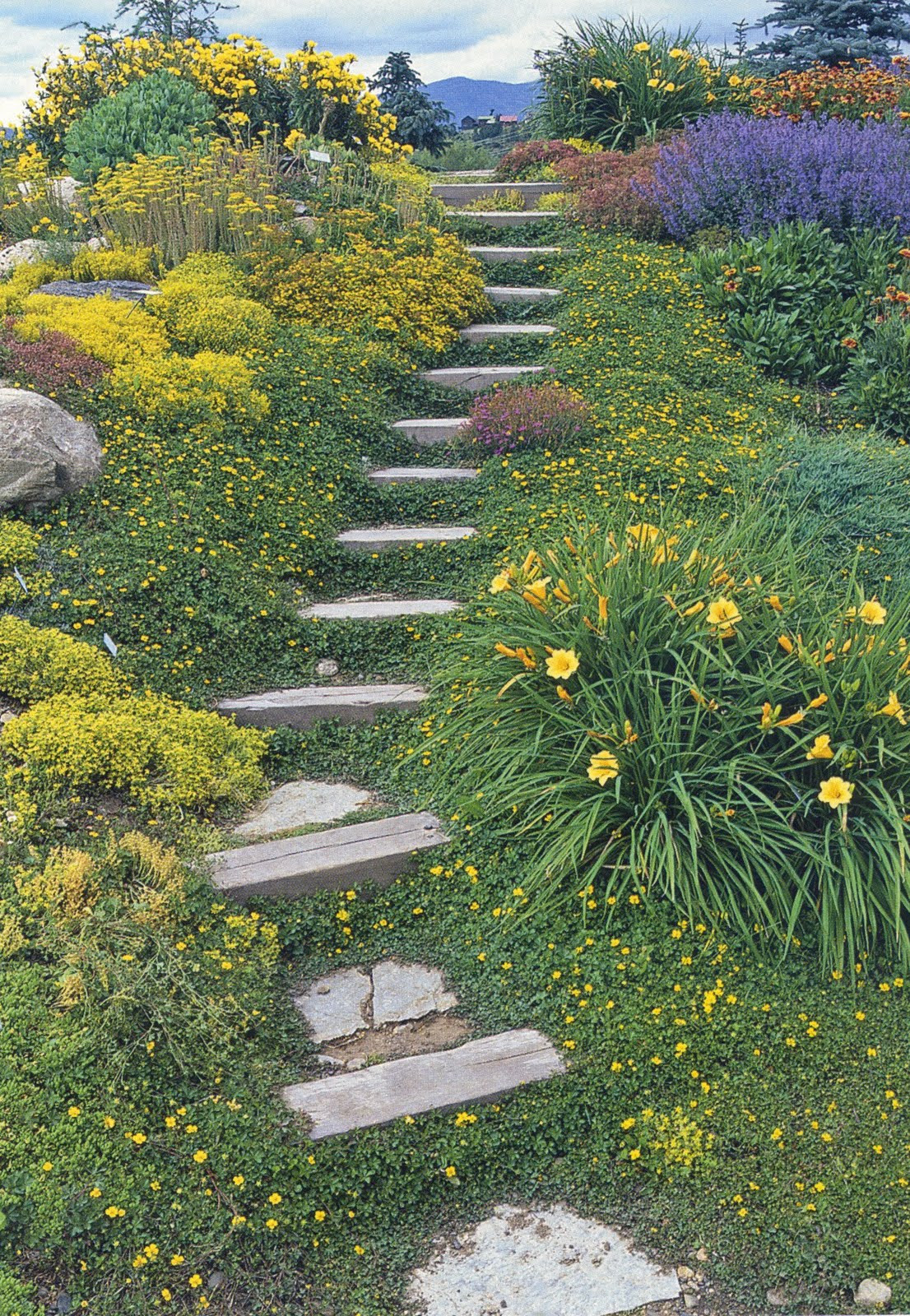 Backyard Hillside Landscaping
 The Rusted Trowel Landscaping Hillsides