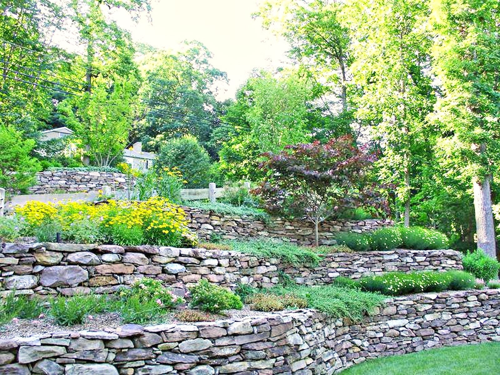 Backyard Hillside Landscaping
 Creative Hillside Landscape Ideas — Randolph Indoor and