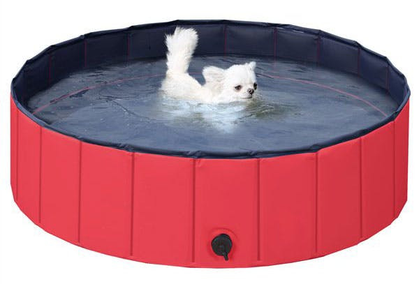Backyard Pool Superstore Coupons
 Backyard Pools as Low as $13 at Walmart The Krazy