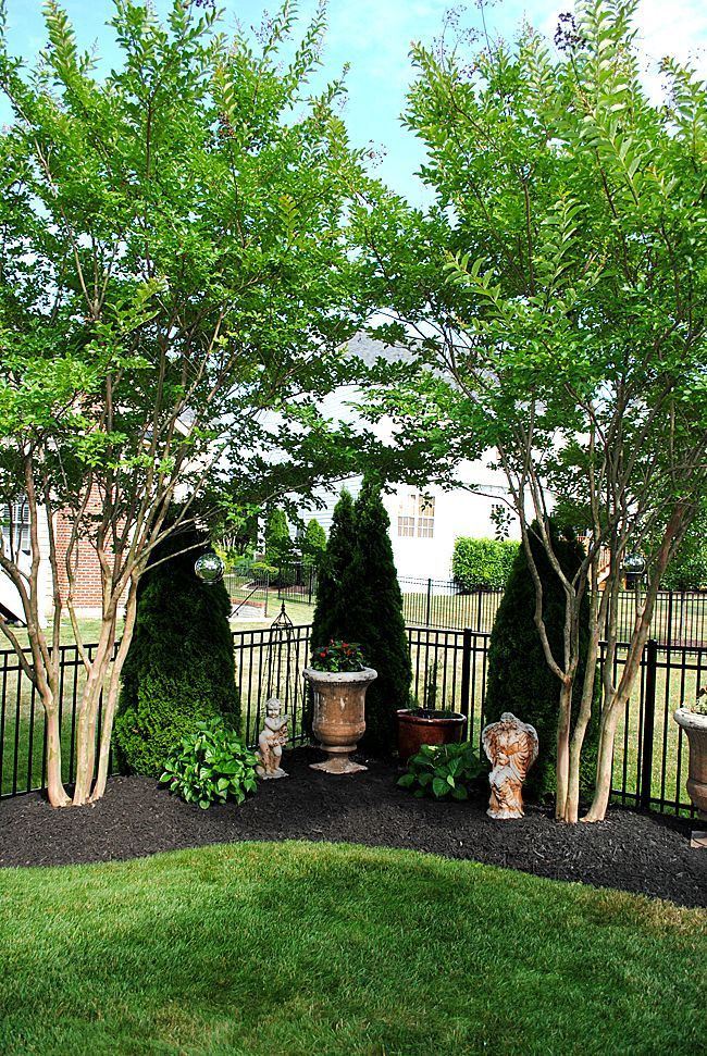 Backyard Privacy Landscaping
 8 Great Ideas for Backyard Landscaping