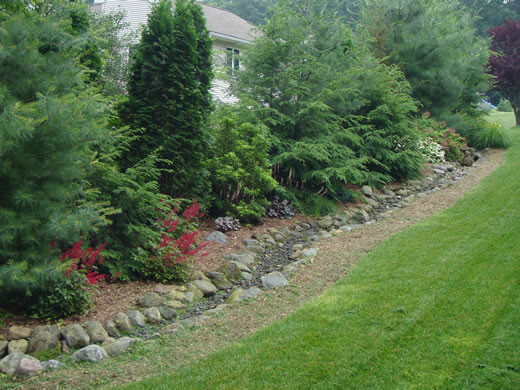 Backyard Privacy Landscaping
 Dr Dan s Garden Tips Landscaping for Privacy