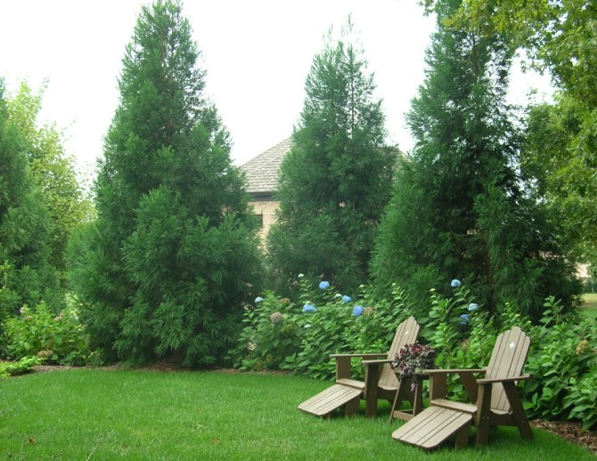 Backyard Privacy Landscaping
 Privacy Plantings in Charlotte NC