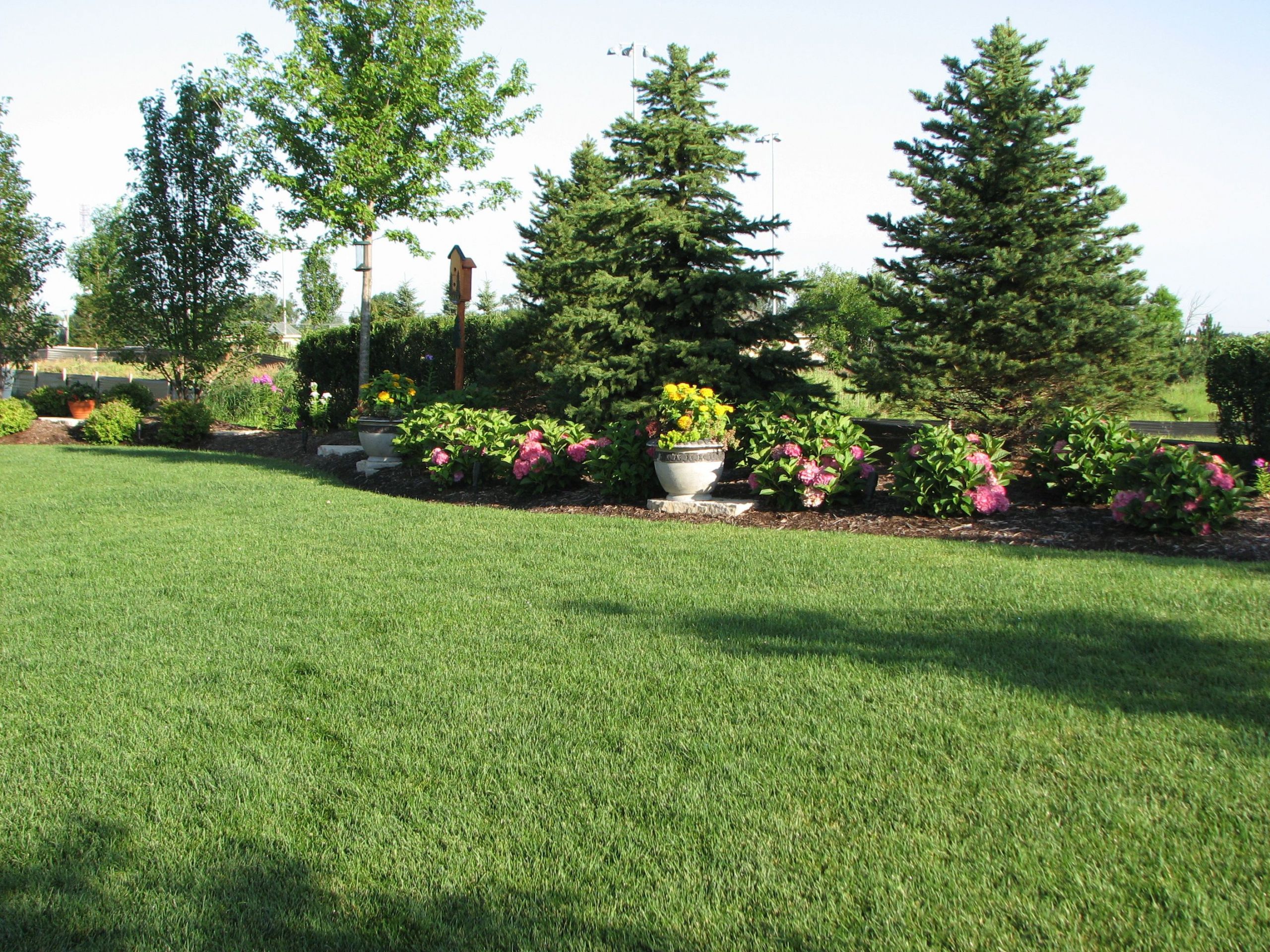 Backyard Privacy Landscaping
 Landscaping Ideas To Create Privacy