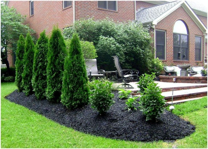 Backyard Privacy Landscaping
 19 Amazing Outdoor Privacy Screens That You Will Love