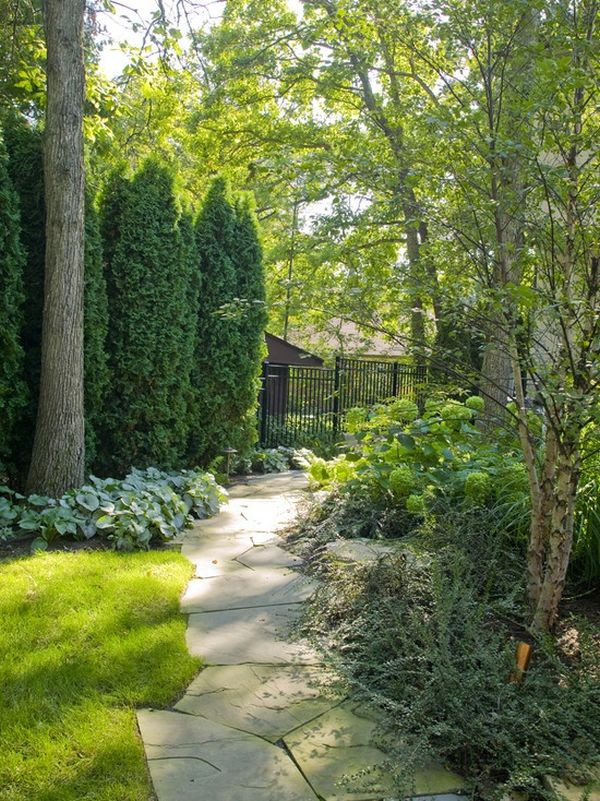 Backyard Privacy Landscaping
 30 Wonderful Backyard Landscaping Ideas