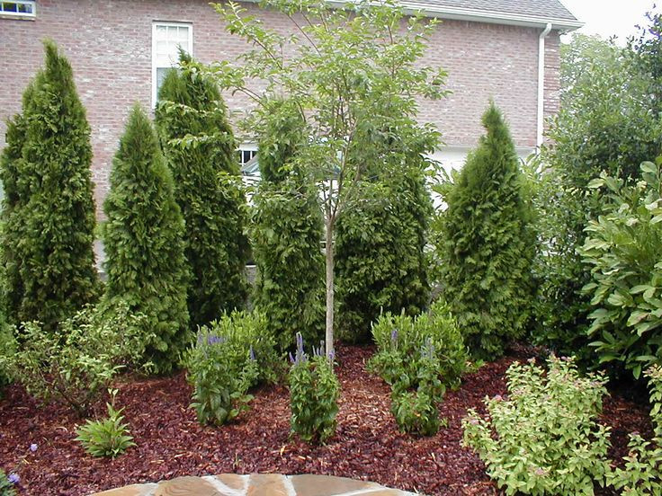 Backyard Privacy Landscaping
 Ideas For Privacy In Backyard