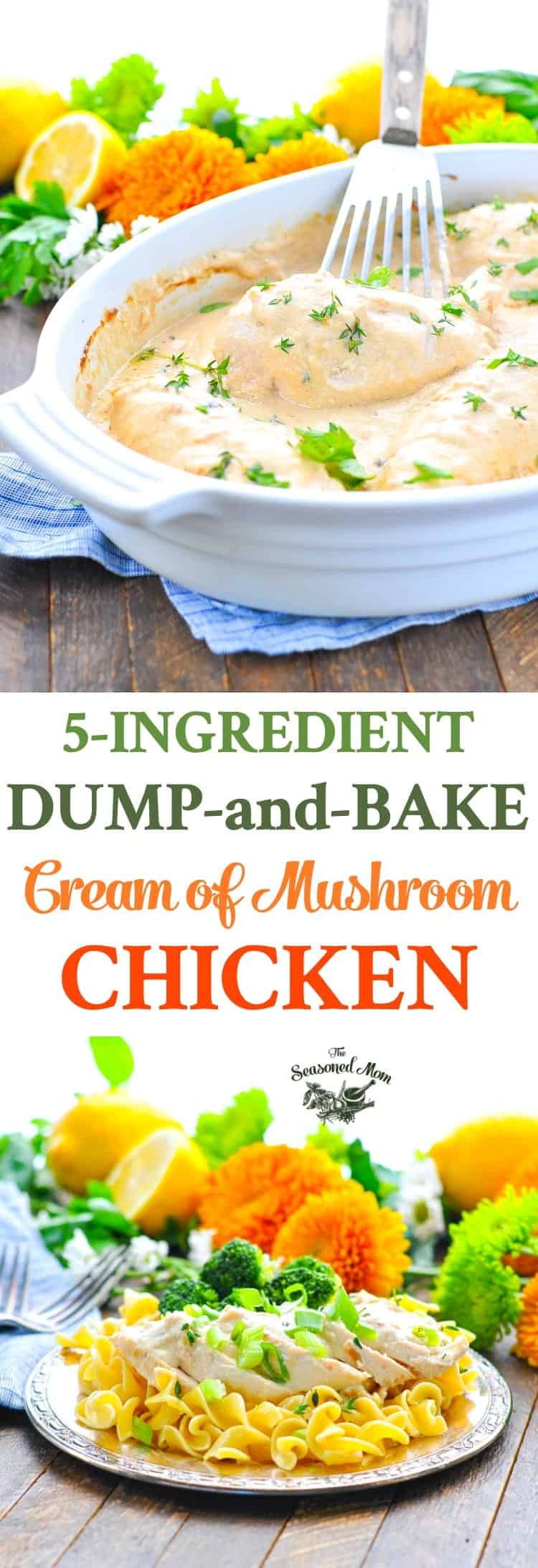 Baked Chicken Recipe With Cream Of Mushroom Soup
 Dump and Bake Cream of Mushroom Chicken The Seasoned Mom