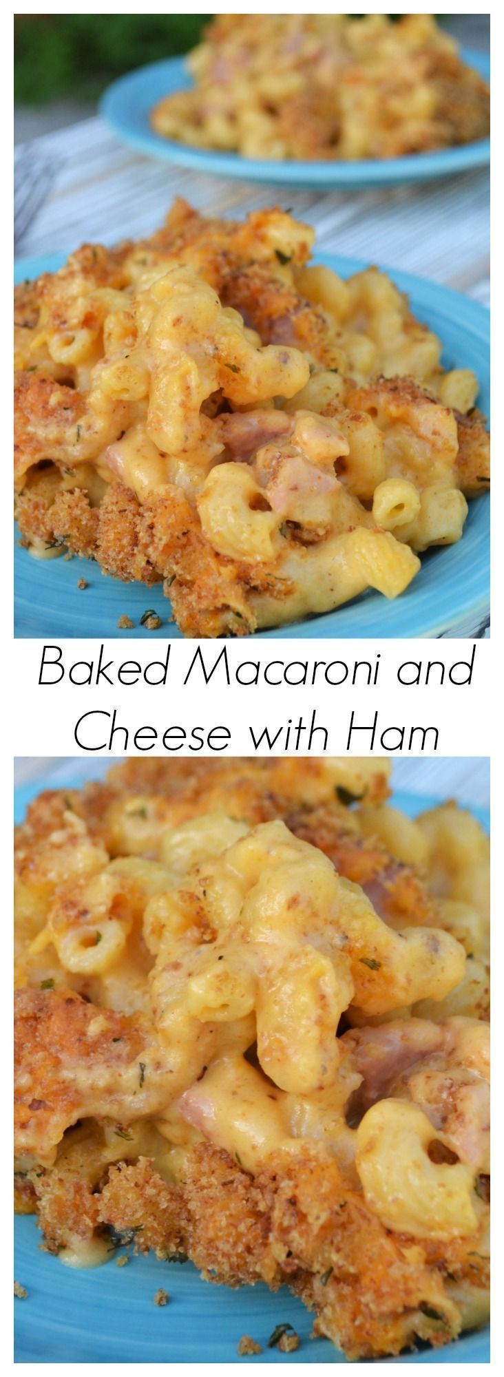 Baked Macaroni And Cheese With Ham Recipe
 Baked Macaroni and Cheese with Ham Recipe