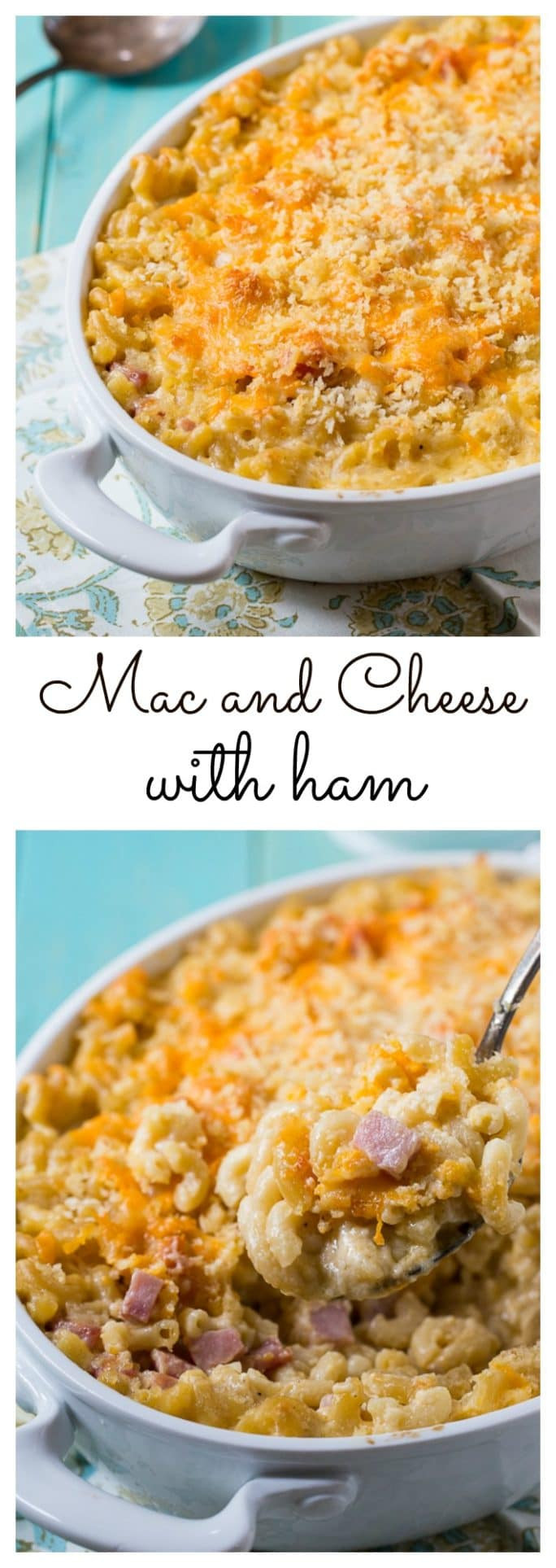 Baked Macaroni And Cheese With Ham Recipe
 Mac and Cheese with Ham Spicy Southern Kitchen