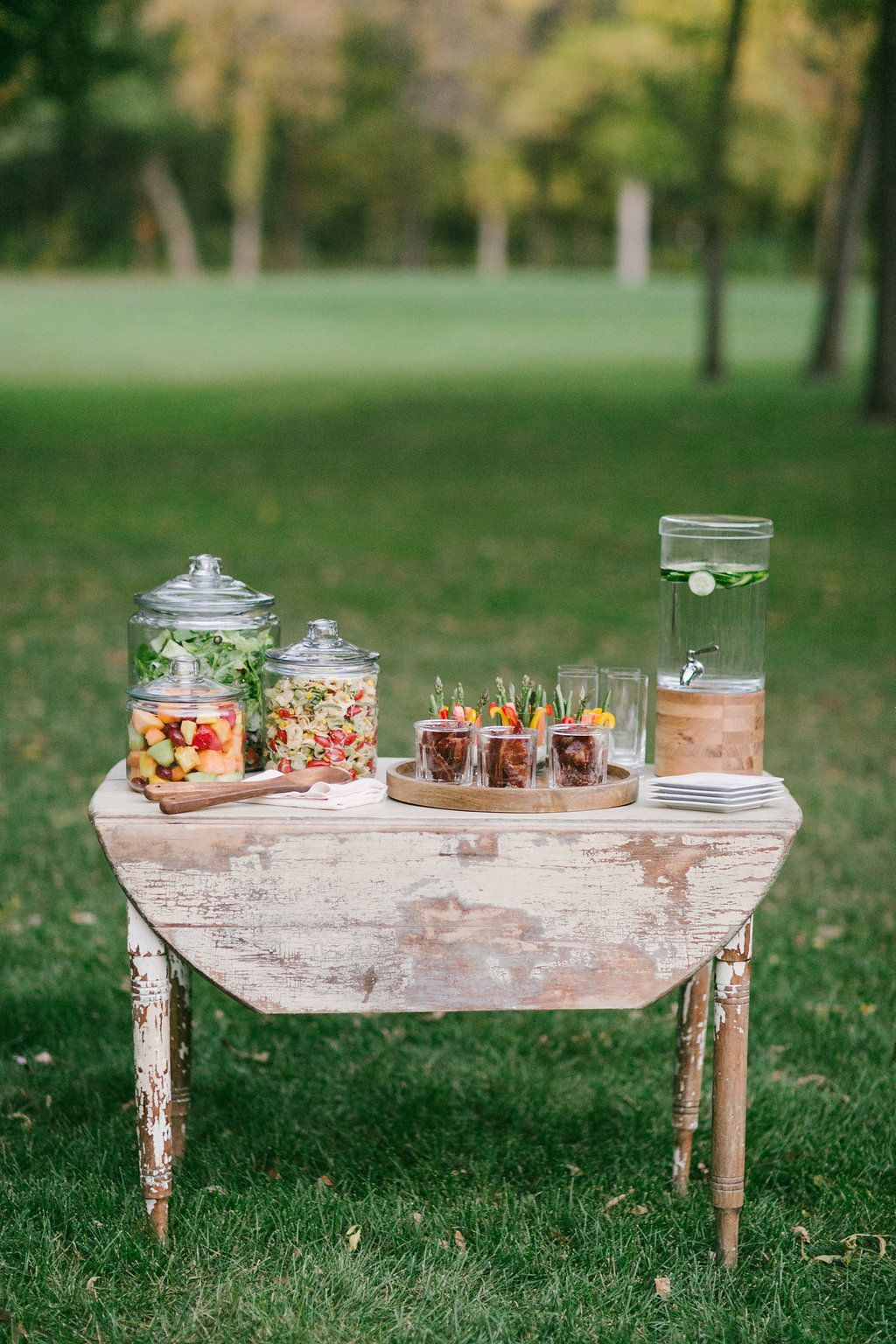 Barbecue Engagement Party Ideas
 Backyard Engagement Party Ideas