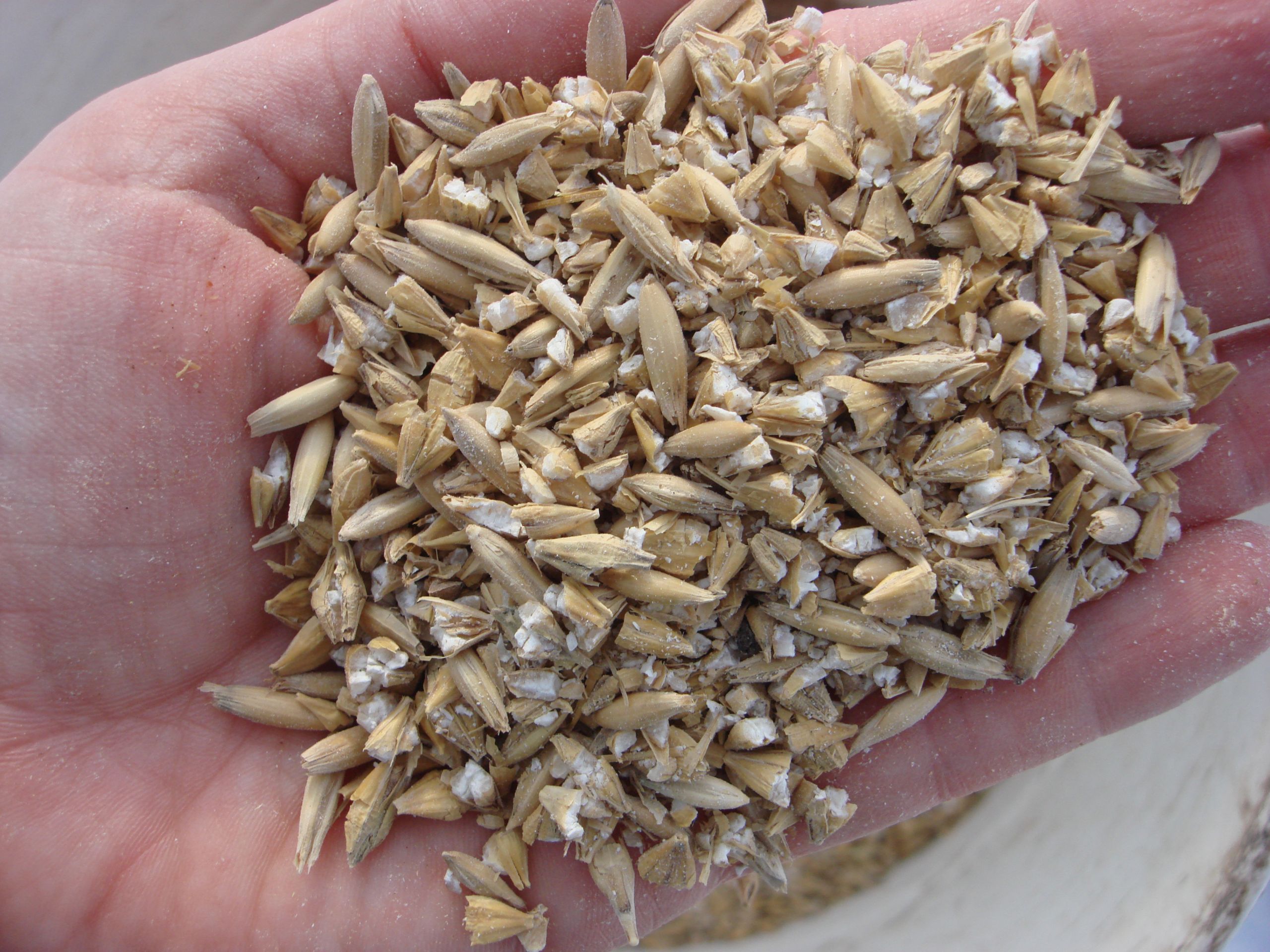 Barley And Grain
 barley