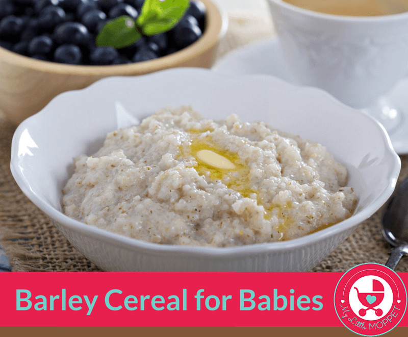 Barley Baby Cereal
 How to make Barley Cereal for Babies My Little Moppet