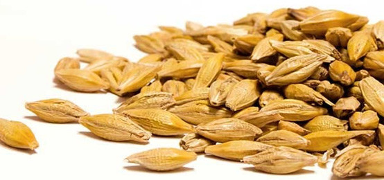 Barley For Weight Loss
 Hulled Barley Weight Loss