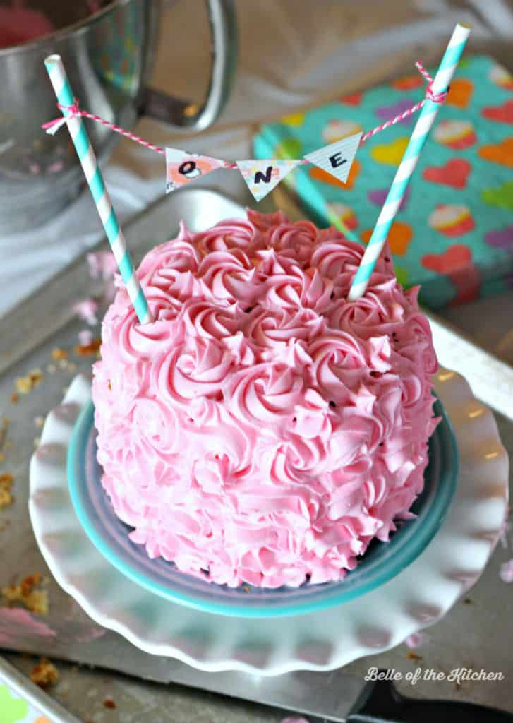 Basic Birthday Cake Recipes
 1st Birthday Smash Cake Tutorial Simple Vanilla Cake