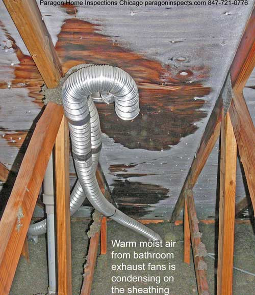 Bathroom Exhaust Fan Roof Vent
 Bathroom Exhaust Fan Venting Into Attic HVAC DIY