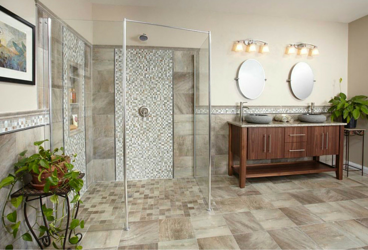 Bathroom Themes For Adults
 Luxury Bathroom & Shower Ideas for Active Adults in