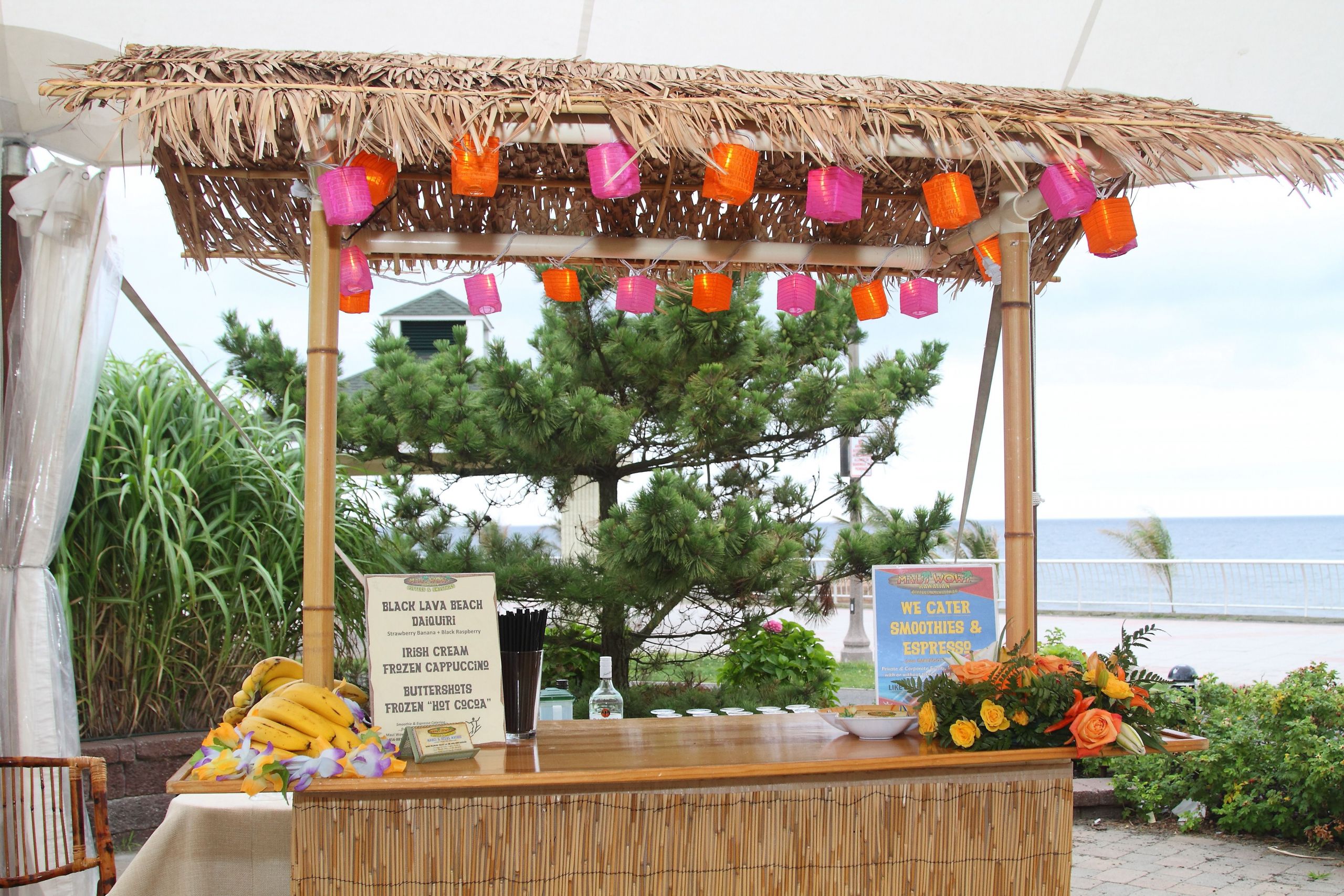 Beach Bar Party Ideas
 special daiquiri bar for a havana nights or beach theme