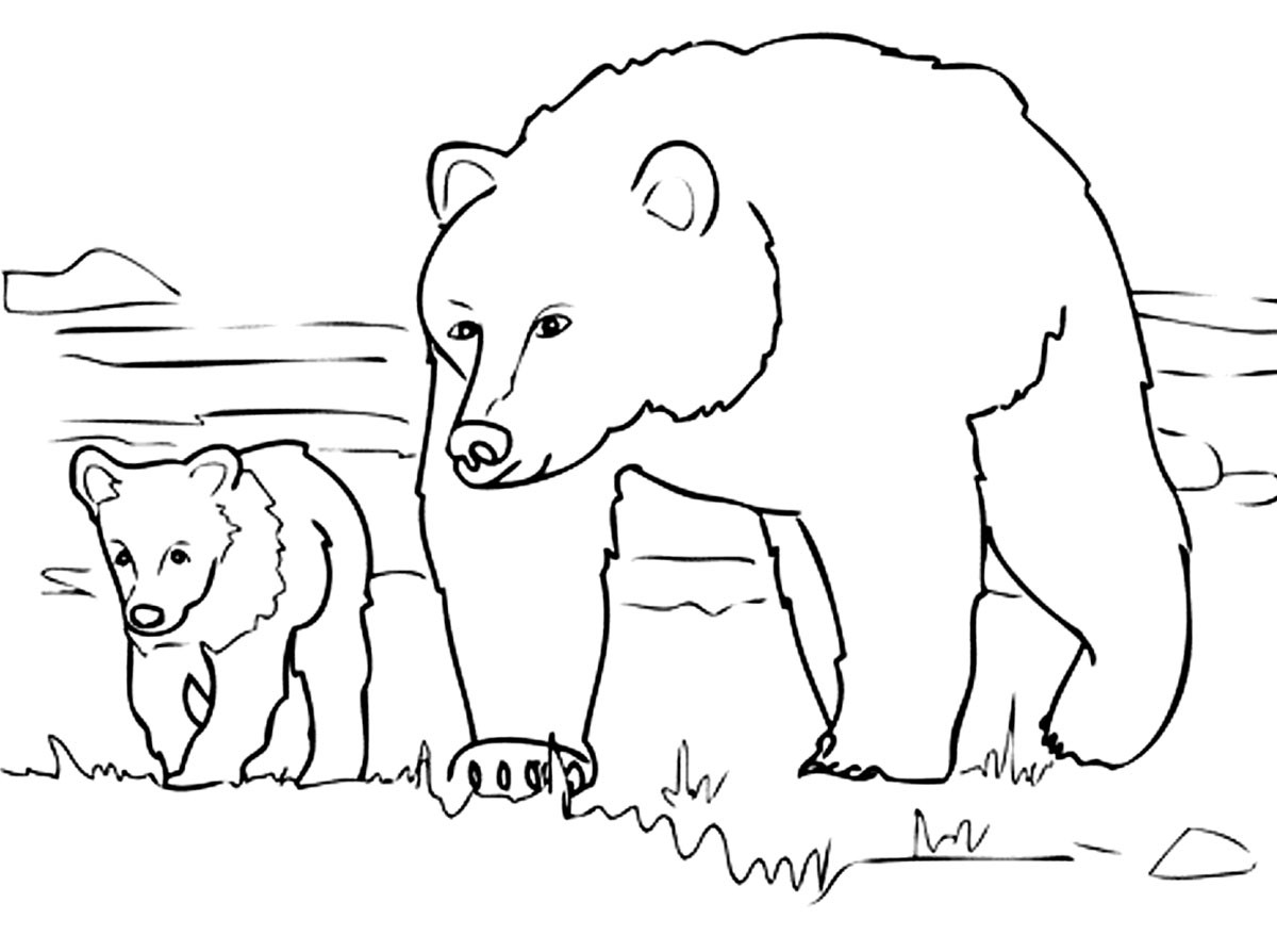 Bear Coloring Pages For Kids
 Bears to print Bears Kids Coloring Pages