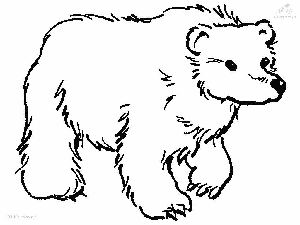 Bear Coloring Pages For Kids
 The Bear’s Secret