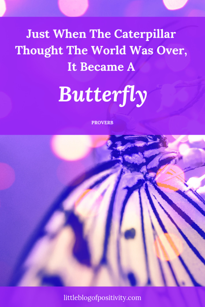 Beautiful Quotes About Life
 41 Inspirational Quotes To Remind You Life Is Beautiful