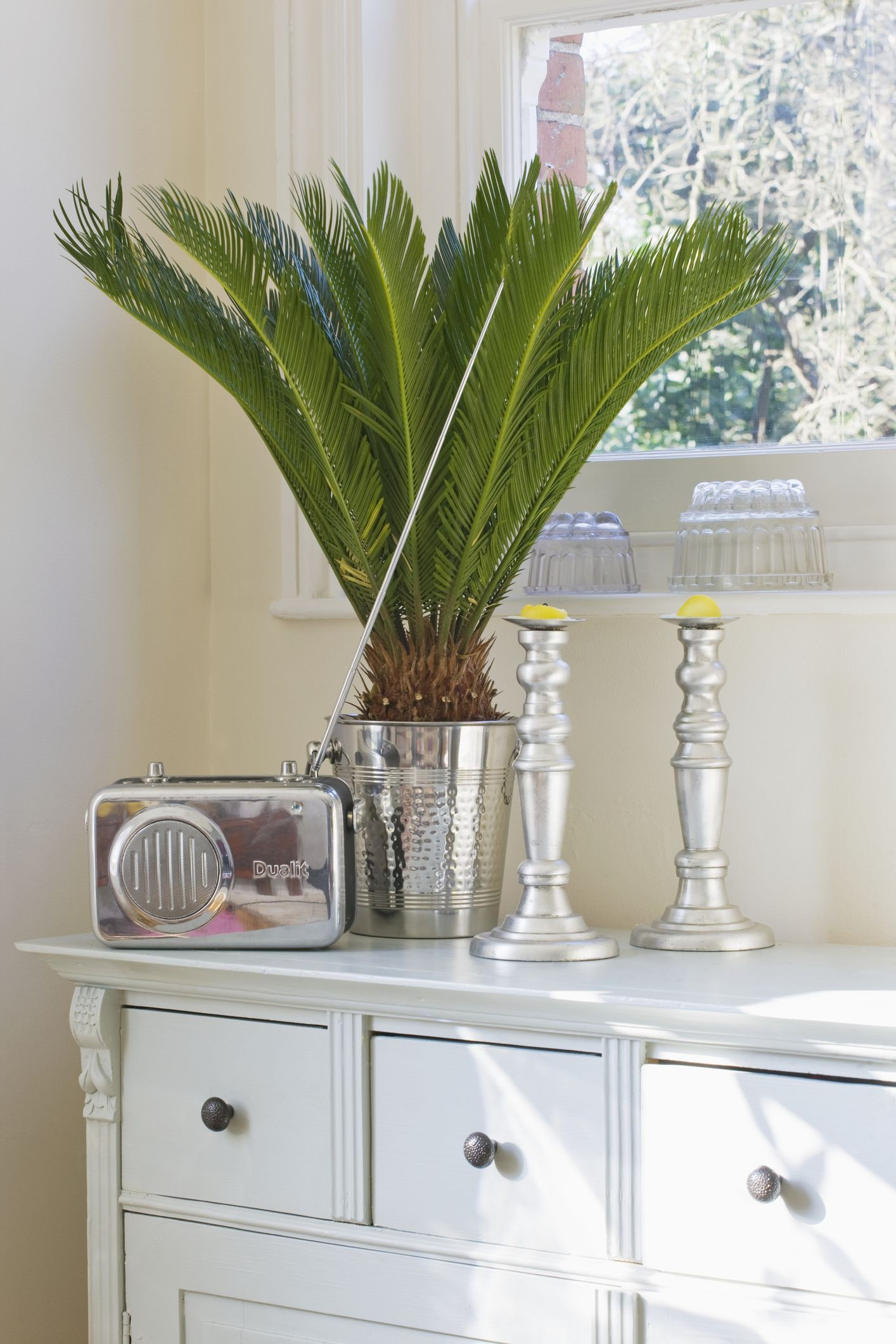 Bedroom Plants Low Light
 Houseplants That Are Perfect for Gardening Beginners